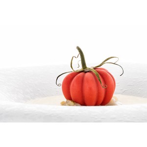 STAMPO POMODORO 24 SILICONE 